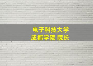 电子科技大学成都学院 院长